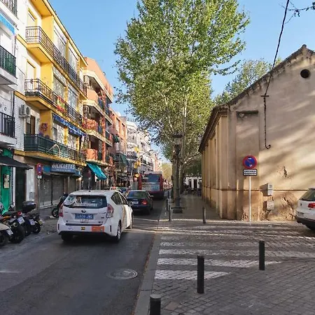 Apartamento Reposo Alameda De Hercules Free Parking Apartment *